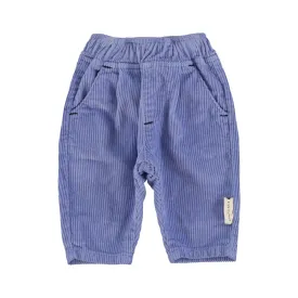 Trousers in Purple